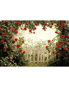 Fabric Photography Background Valentine's Day Garden with Flowers / Backdrop 5991