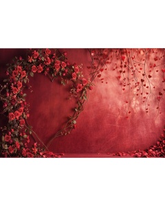 Fabric Photography Background Valentine's Day / Backdrop 6021