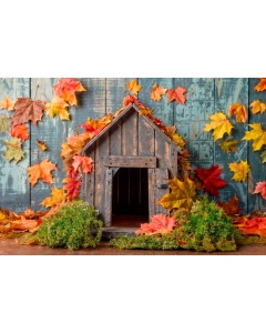 Fabric Photography Background for Pets Photoshoot Fall / Backdrop  6077