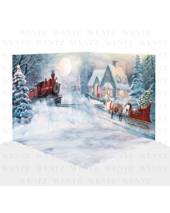 Photography Background in Fabric Christmas Set 3D / WTZ120